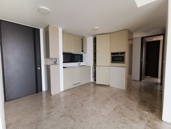 Skysuites@Anson (D2), Apartment #201689172